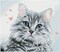 Diamond Dotz Pre-Framed Square Diamond Art Kit 10.63"X12.2"-Pricilla